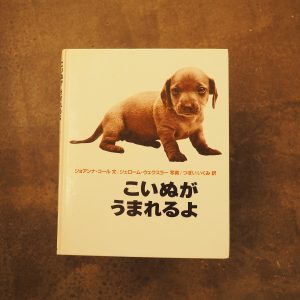 20代のときに、私の生き方を変えた本。『こいぬがうまれるよ』／長野・上諏訪『生活と芸術の本 言事堂』 が届けるベターライフブックス。