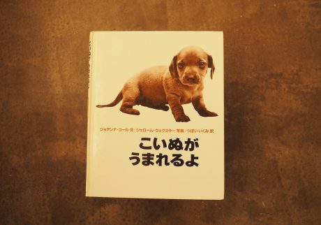 20代のときに、私の生き方を変えた本。『こいぬがうまれるよ』／長野・上諏訪『生活と芸術の本 言事堂』 が届けるベターライフブックス。