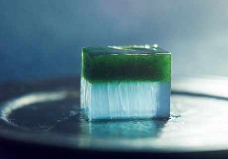 大慈院に寄せた「転景」。【〈御菓子丸〉が一皿で表す、京都、寺社仏閣の風景 vol.30】