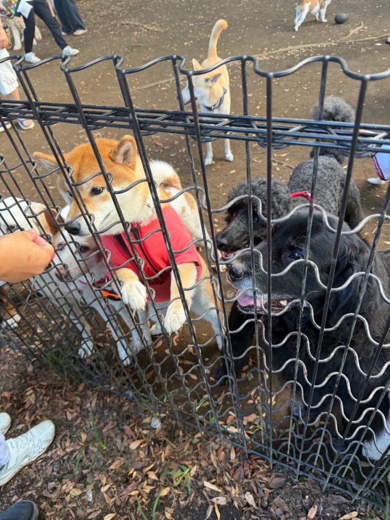 何とかやってます2