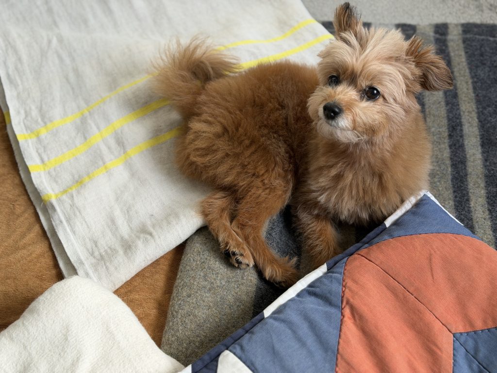 1枚でも、何枚でも、布さえあれば。編集後記「テキスタイルと暮らし」