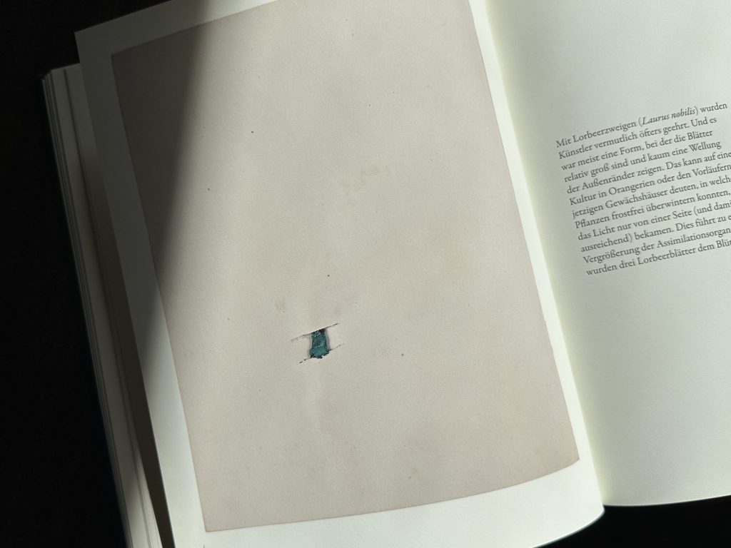 『BLUMENBUCH FÜR ROBERT 1854-1856』より。 | 原本のページの裏側をそのまま裏側として1ページ使って載せている。