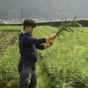 後田将人