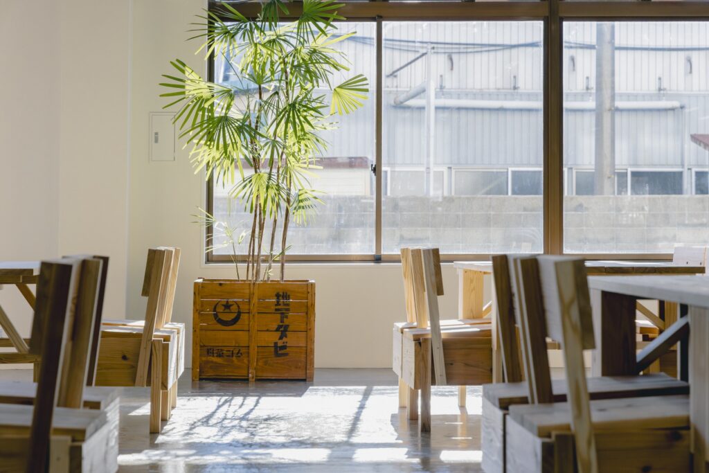 靴から、暮らしがひらく場所。〈ムーンスター〉が発祥の地、福岡・久留米に新店舗『PLATO MOONSTAR』をオープン。 | 「月星印」と呼ばれる旧ロゴが施された木箱は、鉢カバーとして再利用。